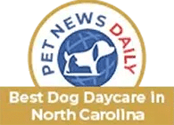 Pet News Daily Best Dog Daycare in North Carolina