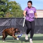 Staff playing with a dog