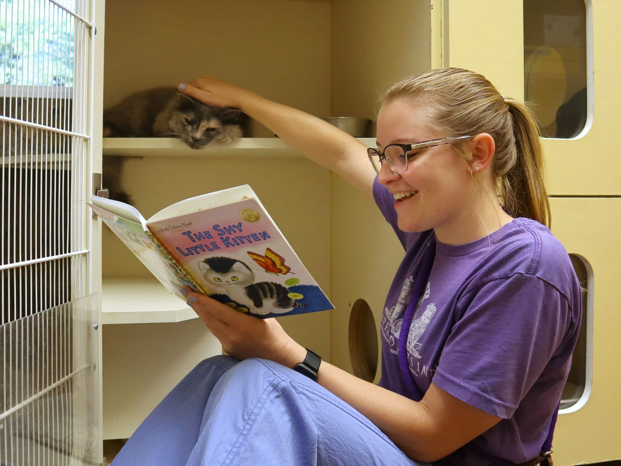 Staff reading a bedtime story to a cat