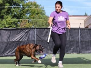 Running with a flirt pole and a dog chasing after it